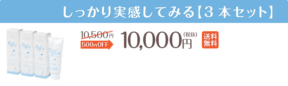しっかり実感してみる（３本セット）５００円OFF。10000円
